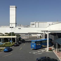 艾米丽·戴维斯