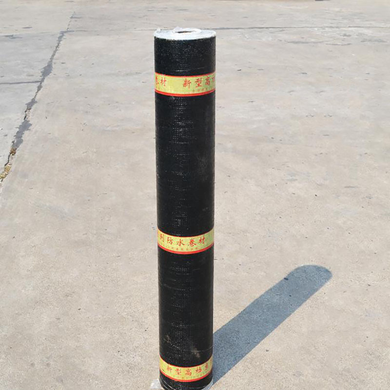 9923e0b4c7285b89f395f5918c0438